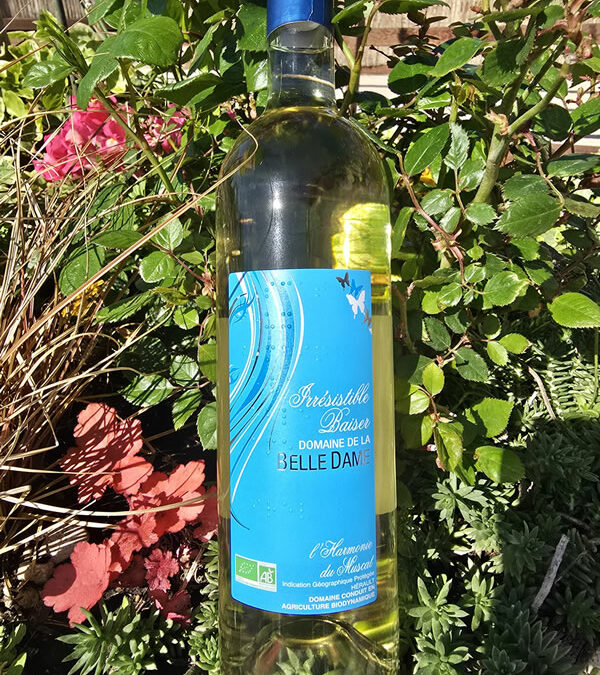 Harmonie : notre nouveau muscat !