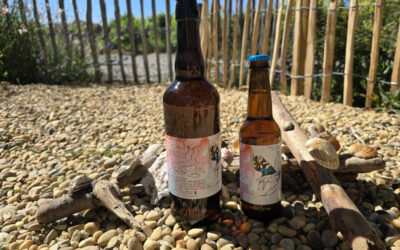 Sètabière : une bière au muscat !